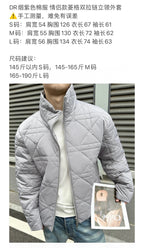 Grey and Silver Puffer Jacket - Men's