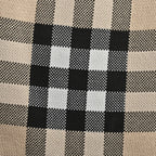 Olive Nylon Check Swim - Men's