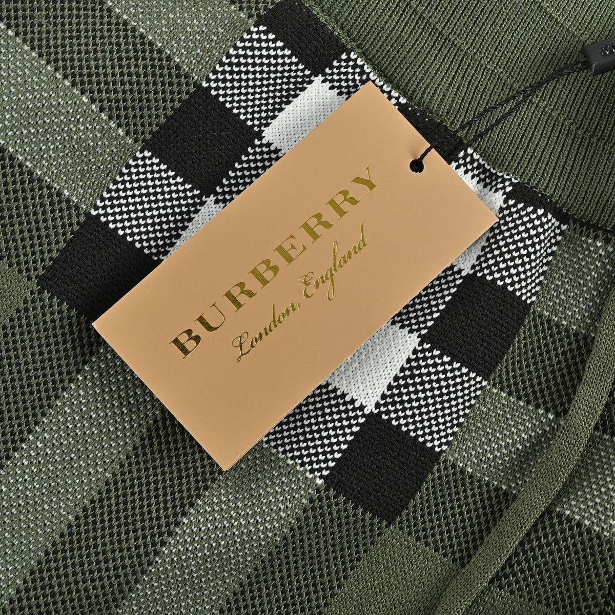 Olive Nylon Check Swim - Men's