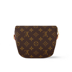 Mini Bumbag – designed for versatility, it features a removable, adjustable strap in the House's – LUX VERSE Luxury Designer Fashion Outlet