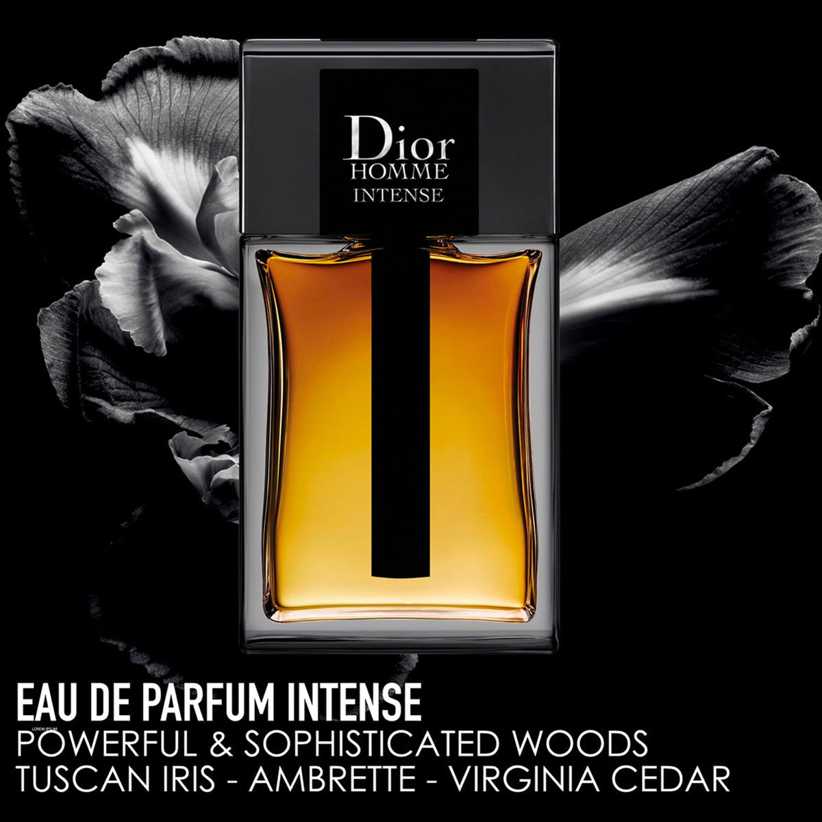 Dior Homme Intense 5.0 oz for men – launched by the ever-popular house of Christian Dior in 2011, this eau de parfum – LUX VERSE Luxury Designer Fashion Outlet