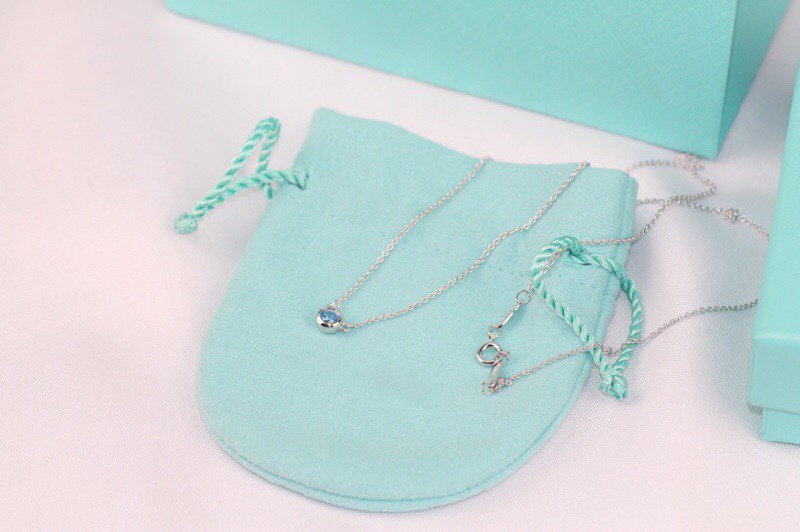 Elsa Peretti Series Single Diamond Simple Necklace – LUX VERSE Luxury Designer Fashion Outlet