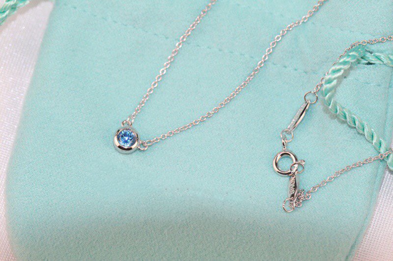 Elsa Peretti Series Single Diamond Simple Necklace – LUX VERSE Luxury Designer Fashion Outlet