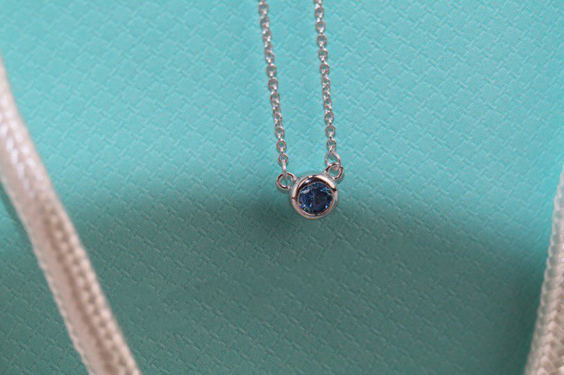 Elsa Peretti Series Single Diamond Simple Necklace – LUX VERSE Luxury Designer Fashion Outlet
