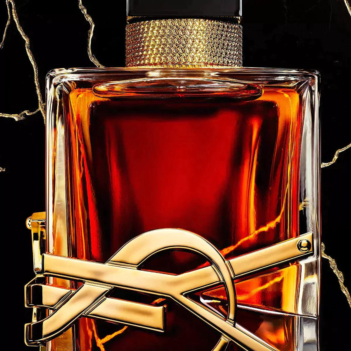 YSL Libre 3.0 oz Le Parfum for women – the first parfum in the Libre collection, Libre Le Parfum is the most concentrated – LUX VERSE Luxury Designer Fashion Outlet