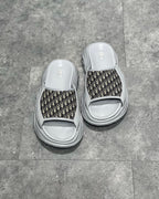 Black and Grey Slides