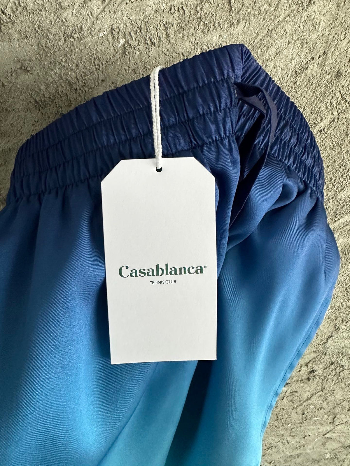 Blue Nylon Gradient Swim - Men's