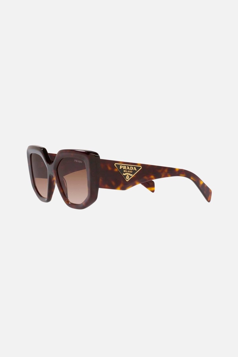 Havana butterfly shape sunglasses – cinŽma styles to square Monochrome symbol frames – LUX VERSE Luxury Designer Fashion Outlet
