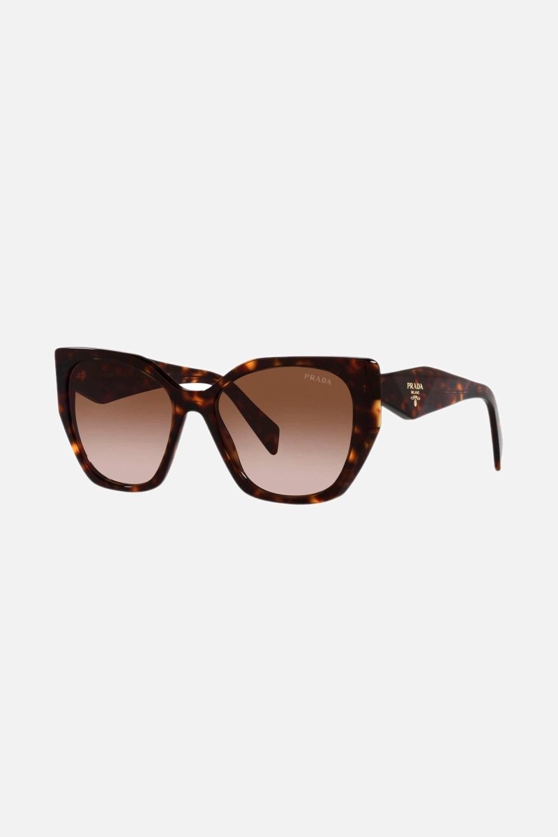 Havana butterfly shape sunglasses Catwalk – cinŽma styles to square Monochrome symbol frames – LUX VERSE Luxury Designer Fashion Outlet
