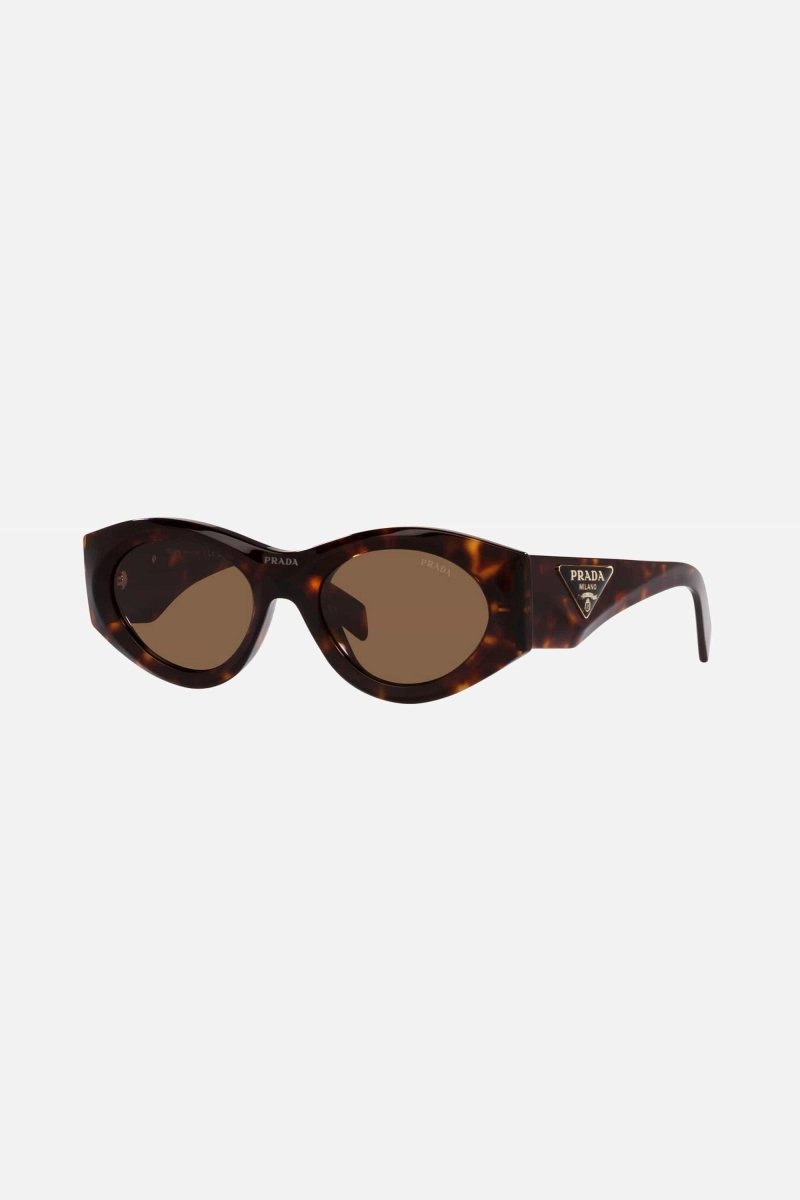 PR20ZS havana bold oval sunglasses – sunglasses for women include a wide range of silhouettes and colors – LUX VERSE Luxury Designer Fashion Outlet