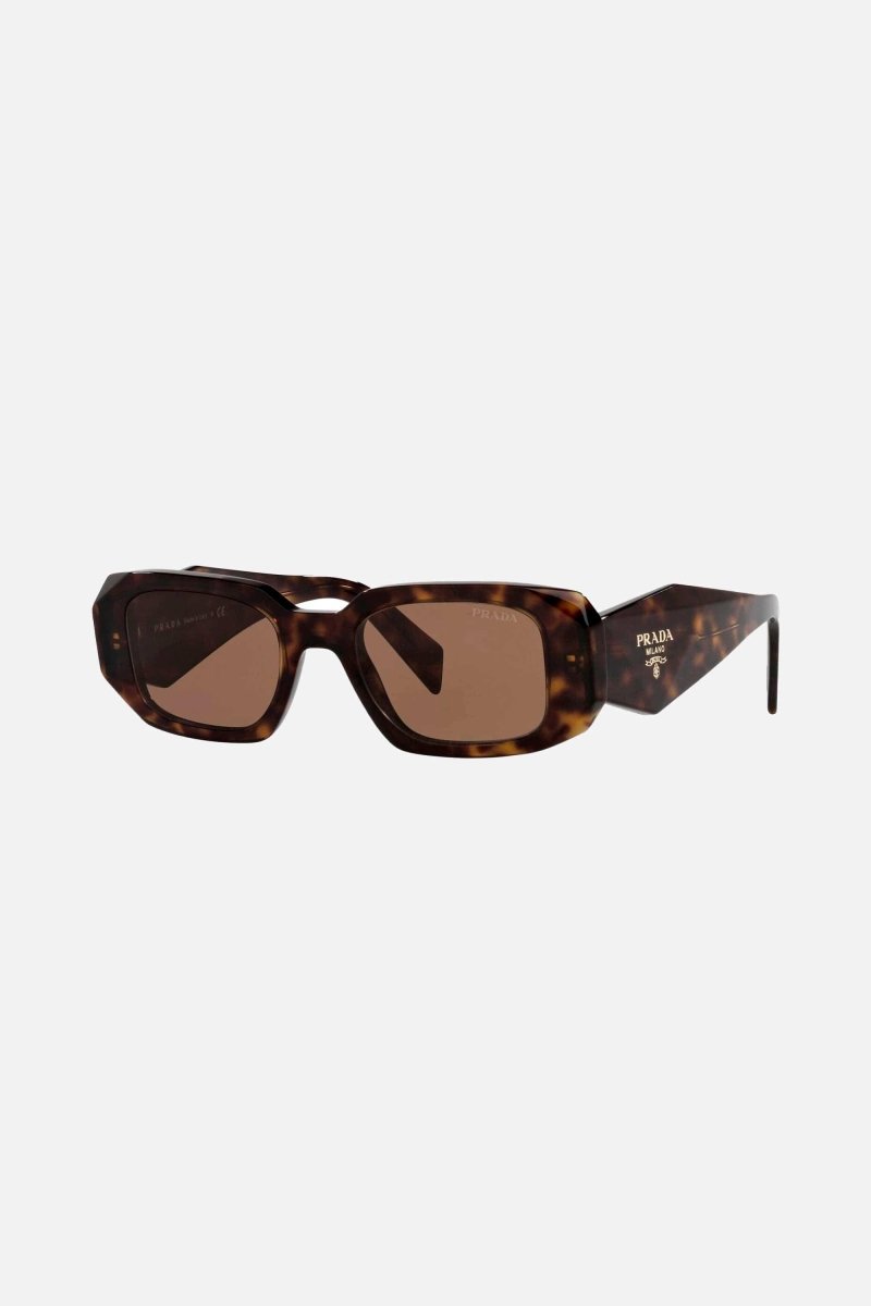 Symbol havana oval sunglasses – sunglasses for women include a wide range of silhouettes and colors – LUX VERSE Luxury Designer Fashion Outlet