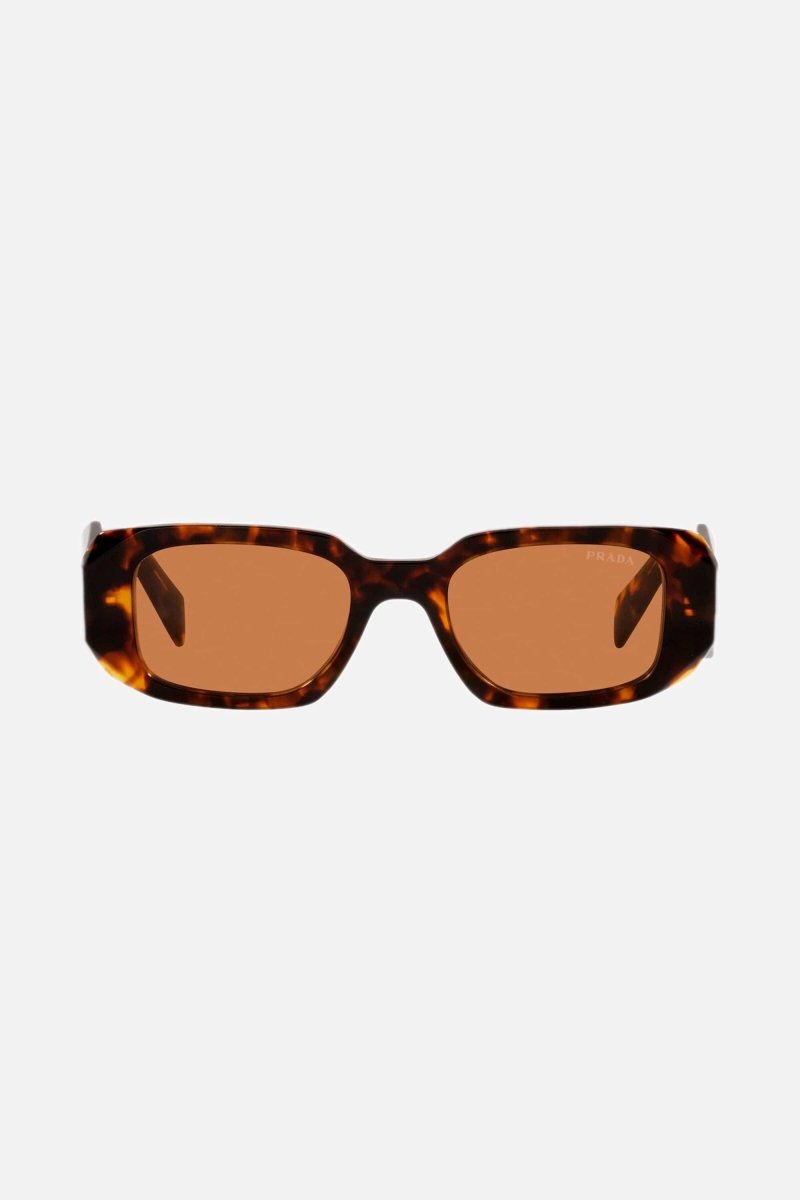 Symbol honey oval sunglasses – of silhouettes and colors: from the refined CinŽma styles to square – LUX VERSE Luxury Designer Fashion Outlet