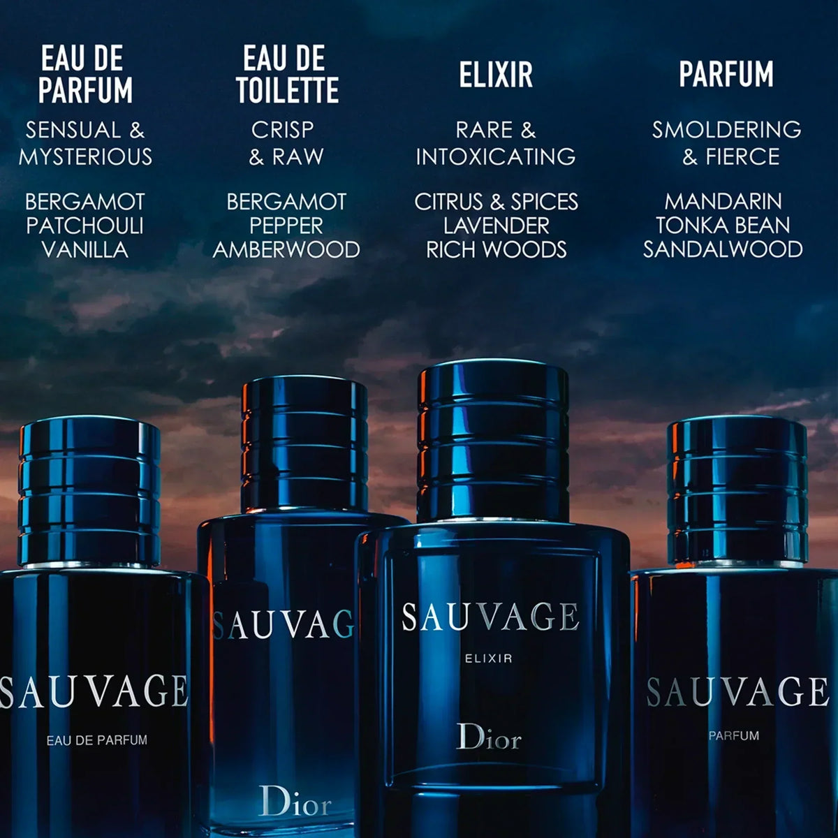 Sauvage Elixir 2.0 EDP for men – with an extreme concentration, the iconic freshness of Dior Sauvage Elixir balances – LUX VERSE Luxury Designer Fashion Outlet